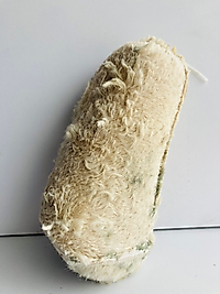 Deri Tulum Peyniri kg Tartılarak Satılır